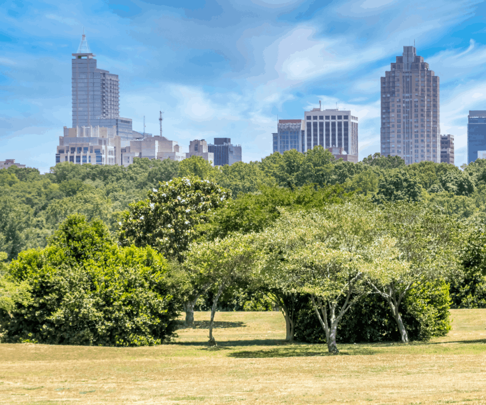 Raleigh skyline